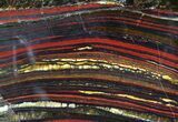Polished Tiger Iron Stromatolite - ( Billion Years) #92958-1